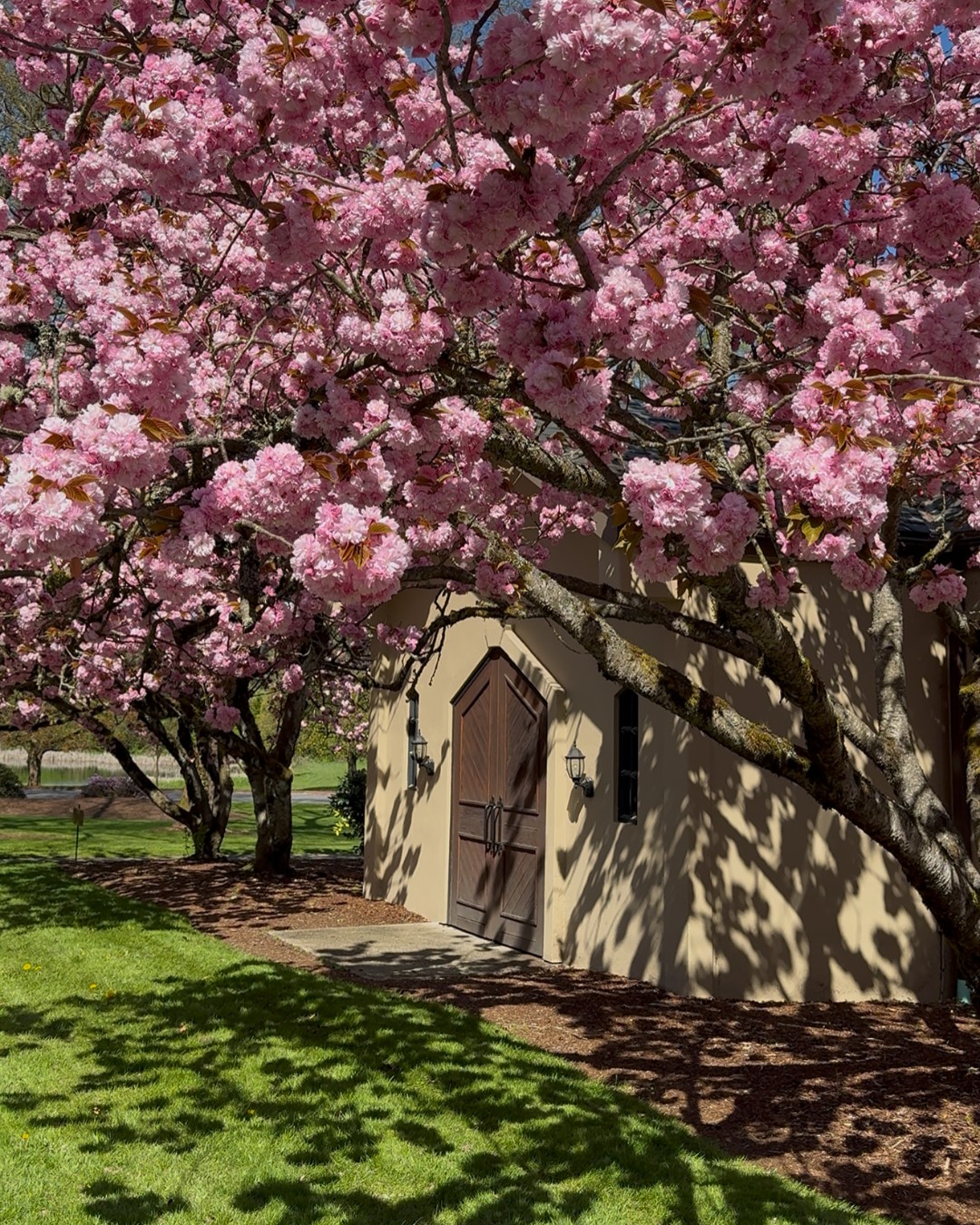 Chateau tasting area